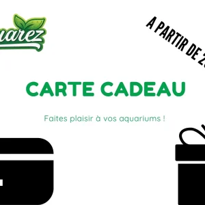 Bleu Illustré Noël Chèque Cadeau – Aquarez, votre boutique spécialisée en aquascaping et aquariophilie d'eau douce