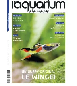 aquarium a la maison n 151 mai juin – Aquarez, votre boutique spécialisée en aquascaping et aquariophilie d'eau douce