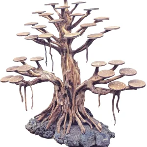 Bonsai taille L (50x40x30) – Aquarez, votre boutique spécialisée en aquascaping et aquariophilie d'eau douce