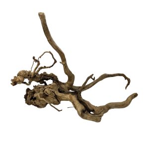 Racine Asia 70 , bois naturel pour décoration d'aquascape – Aquarez, votre boutique spécialisée en aquascaping et aquariophilie d'eau douce