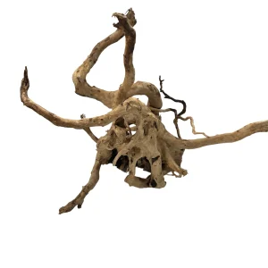 Racine Asia 20 , bois naturel pour décoration d'aquascape – Aquarez, votre boutique spécialisée en aquascaping et aquariophilie d'eau douce