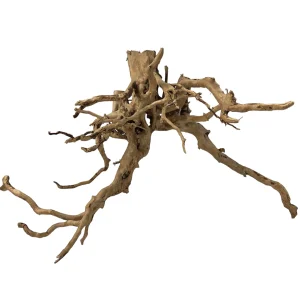 Racine Asia 40 , bois naturel pour décoration d'aquascape – Aquarez, votre boutique spécialisée en aquascaping et aquariophilie d'eau douce
