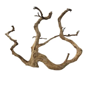 Racine Asia 50 , bois naturel pour décoration d'aquascape – Aquarez, votre boutique spécialisée en aquascaping et aquariophilie d'eau douce