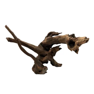 DriftWood, bois naturel pour décoration d'aquascape – Aquarez, votre boutique spécialisée en aquascaping et aquariophilie d'eau douce