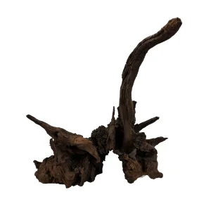 DriftWood, bois naturel pour décoration d'aquascape – Aquarez, votre boutique spécialisée en aquascaping et aquariophilie d'eau douce