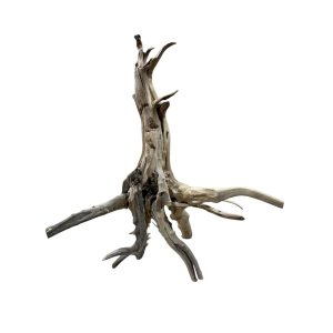 Racine Tree Trunk 30 40cm, bois naturel pour décoration d'aquascape – Aquarez, votre boutique spécialisée en aquascaping et aquariophilie d'eau douce