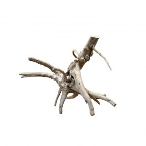 Racine Tree Trunk 20 , bois naturel pour décoration d'aquascape – Aquarez, votre boutique spécialisée en aquascaping et aquariophilie d'eau douce