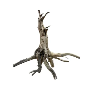 Racine Tree Trunk 30 40cm, bois naturel pour décoration d'aquascape – Aquarez, votre boutique spécialisée en aquascaping et aquariophilie d'eau douce