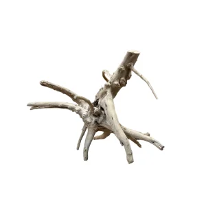 Racine Tree Trunk 20 , bois naturel pour décoration d'aquascape – Aquarez, votre boutique spécialisée en aquascaping et aquariophilie d'eau douce