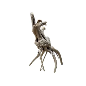 Racine Tree Trunk 10 , bois naturel pour décoration d'aquascape – Aquarez, votre boutique spécialisée en aquascaping et aquariophilie d'eau douce