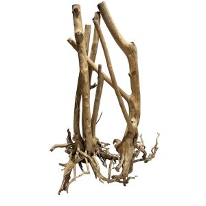 stumpwood, bois naturel pour décoration d'aquascape – Aquarez, votre boutique spécialisée en aquascaping et aquariophilie d'eau douce