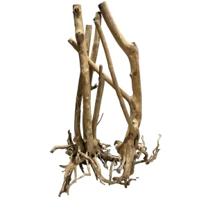 stumpwood, bois naturel pour décoration d'aquascape – Aquarez, votre boutique spécialisée en aquascaping et aquariophilie d'eau douce