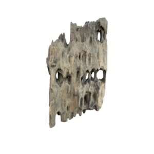 Racine d’aquarium Dragon Wood 10-20cm M, de taille compacte, avec des cavités et une texture rugueuse idéale pour créer un décor naturel ou abriter des poissons. – Aquarez, votre boutique spécialisée en aquascaping et aquariophilie d'eau douce