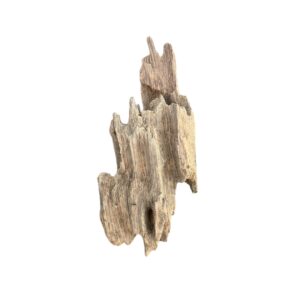 Racine d’aquarium Dragon Wood 10-20cm S, de taille compacte, avec des cavités et une texture rugueuse idéale pour créer un décor naturel ou abriter des poissons. – Aquarez, votre boutique spécialisée en aquascaping et aquariophilie d'eau douce