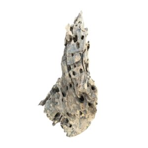 Racine d’aquarium Dragon Wood 20-40cm M, de taille compacte, avec des cavités et une texture rugueuse idéale pour créer un décor naturel ou abriter des poissons. – Aquarez, votre boutique spécialisée en aquascaping et aquariophilie d'eau douce