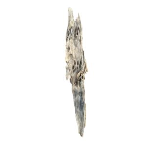 Racine d’aquarium Dragon Wood 20-40cm S, de taille compacte, avec des cavités et une texture rugueuse idéale pour créer un décor naturel ou abriter des poissons. – Aquarez, votre boutique spécialisée en aquascaping et aquariophilie d'eau douce
