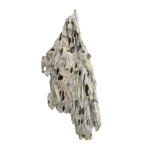 Racine d’aquarium Dragon Wood 40-60cm M, de taille compacte, avec des cavités et une texture rugueuse idéale pour créer un décor naturel ou abriter des poissons. – Aquarez, votre boutique spécialisée en aquascaping et aquariophilie d'eau douce