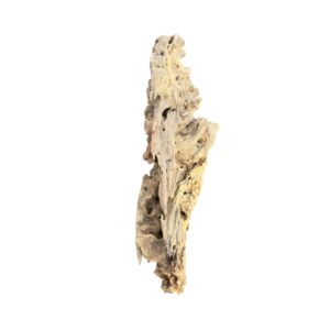 Racine d’aquarium Dragon Wood 40-60cm S, de taille compacte, avec des cavités et une texture rugueuse idéale pour créer un décor naturel ou abriter des poissons. – Aquarez, votre boutique spécialisée en aquascaping et aquariophilie d'eau douce