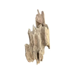 Racine d’aquarium Dragon Wood 10-20cm S, de taille compacte, avec des cavités et une texture rugueuse idéale pour créer un décor naturel ou abriter des poissons. – Aquarez, votre boutique spécialisée en aquascaping et aquariophilie d'eau douce
