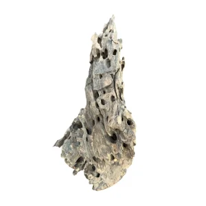 Racine d’aquarium Dragon Wood 20-40cm M, de taille compacte, avec des cavités et une texture rugueuse idéale pour créer un décor naturel ou abriter des poissons. – Aquarez, votre boutique spécialisée en aquascaping et aquariophilie d'eau douce