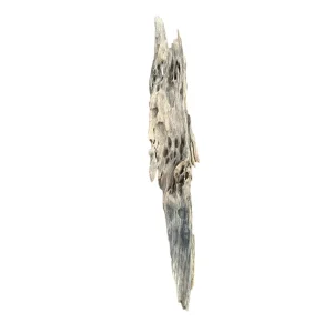 Racine d’aquarium Dragon Wood 20-40cm S, de taille compacte, avec des cavités et une texture rugueuse idéale pour créer un décor naturel ou abriter des poissons. – Aquarez, votre boutique spécialisée en aquascaping et aquariophilie d'eau douce