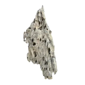 Racine d’aquarium Dragon Wood 40-60cm M, de taille compacte, avec des cavités et une texture rugueuse idéale pour créer un décor naturel ou abriter des poissons. – Aquarez, votre boutique spécialisée en aquascaping et aquariophilie d'eau douce