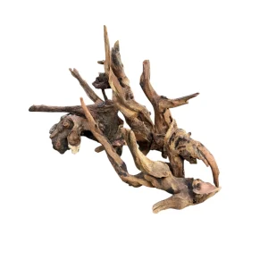 Racine DriftWood 10-20cm idéal pour décorer un aquarium. – Aquarez, votre boutique spécialisée en aquascaping et aquariophilie d'eau douce