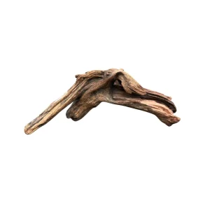 Racine DriftWood 20-30cm idéal pour décorer un aquarium. – Aquarez, votre boutique spécialisée en aquascaping et aquariophilie d'eau douce