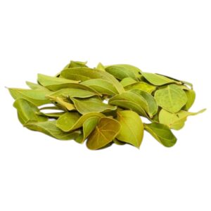 MarcDel - Feuilles de Quina. Les Feuilles de Quina ( Strychnos pseudoquina ) sont issues d'Amérique Centrale et du Sud, notamment du Brésil.