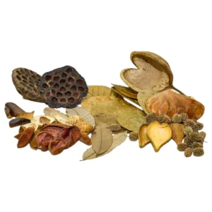 MarcDel kit biotope asiatique est un kit naturel pour imiter le biotope (la provenance naturelle) de l'habitation du poisson. – Aquarez, votre boutique spécialisée en aquascaping et aquariophilie d'eau douce