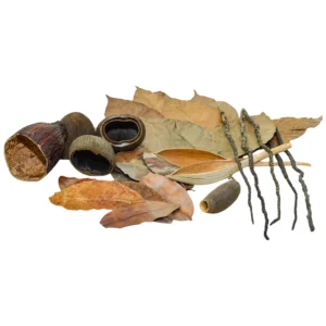 MarcDel kit biotope amazonien est un kit naturel pour reproduire le biotope amazonien dans un aqarium. – Aquarez, votre boutique spécialisée en aquascaping et aquariophilie d'eau douce