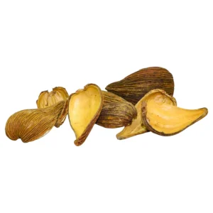 MarcDel - Gousse de Dregea produit naturel pour biotope asiatique. – Aquarez, votre boutique spécialisée en aquascaping et aquariophilie d'eau douce