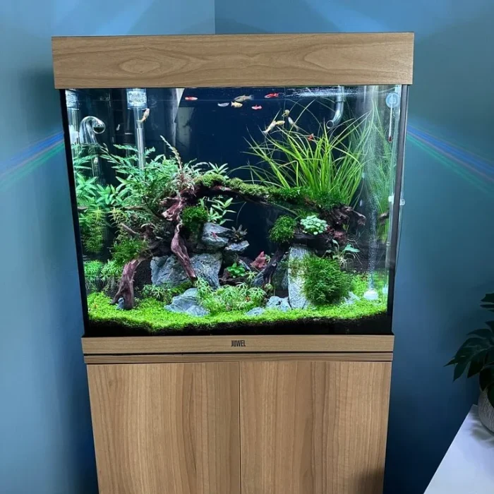 Aquarium sur mesure montrant le sol technique aquarium pour de l'aquascaping - Aquarez, votre boutique spécialisée en aquascaping et aquariophilie d'eau douce